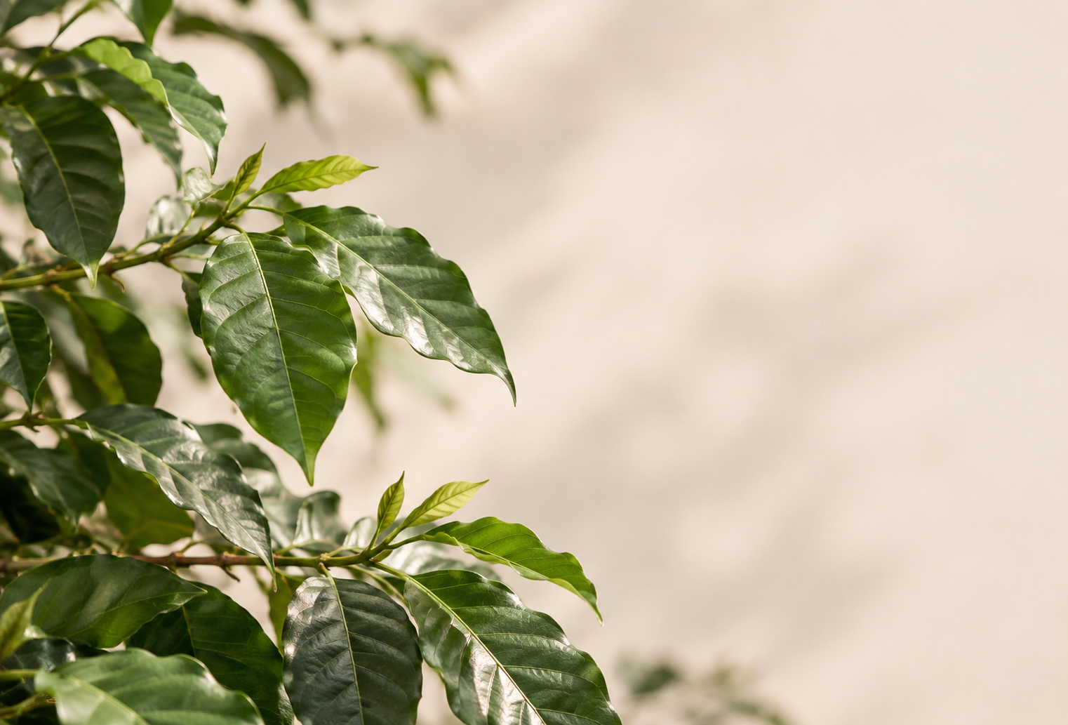 Naturaleza y bienestar EMANA